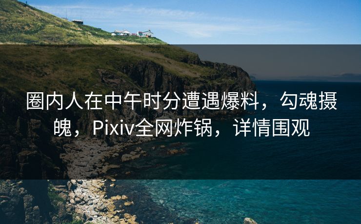 圈内人在中午时分遭遇爆料，勾魂摄魄，Pixiv全网炸锅，详情围观